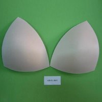 Swimwear Bra Cup